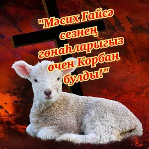 lamb with message