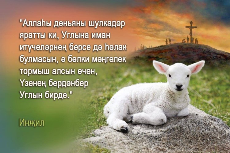 lamb next to John 3:16